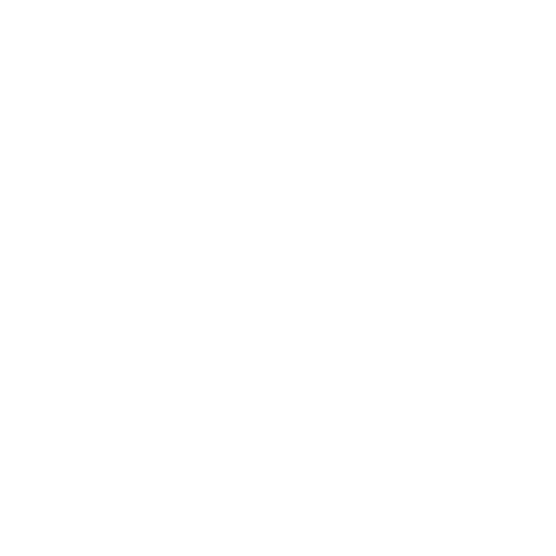 Icono seguridad RGPD